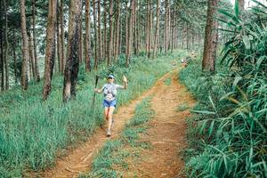 BIB: 
                            <button type="button" onclick="openModal(25655917)" class="btn btn-primary btn-sm float-right btn-popup" data-toggle="modal" data-target=".modal-high-quality">
                        <i class="fas fa-shopping-cart"></i> Add to Cart
                    </button>
                                            <button type="button" onclick="isThisMe(25655917, true)" class="btn btn-success btn-sm float-right btn-popup btn-isme hidden" data-toggle="tooltip" data-placement="bottom" title="นี่คือรูปของคุณใช่ไหม คลิกที่นี่เพื่อเอาเข้าอัลบั้ม">
                        <i class="fas fa-plus"></i> Add to album
                    </button>
                    <button type="button" onclick="isThisMe(25655917, false)" class="btn btn-warning btn-sm float-right btn-popup btn-isnotme hidden">
                        <i class="fas fa-ban"></i> Remove from album
                    </button>